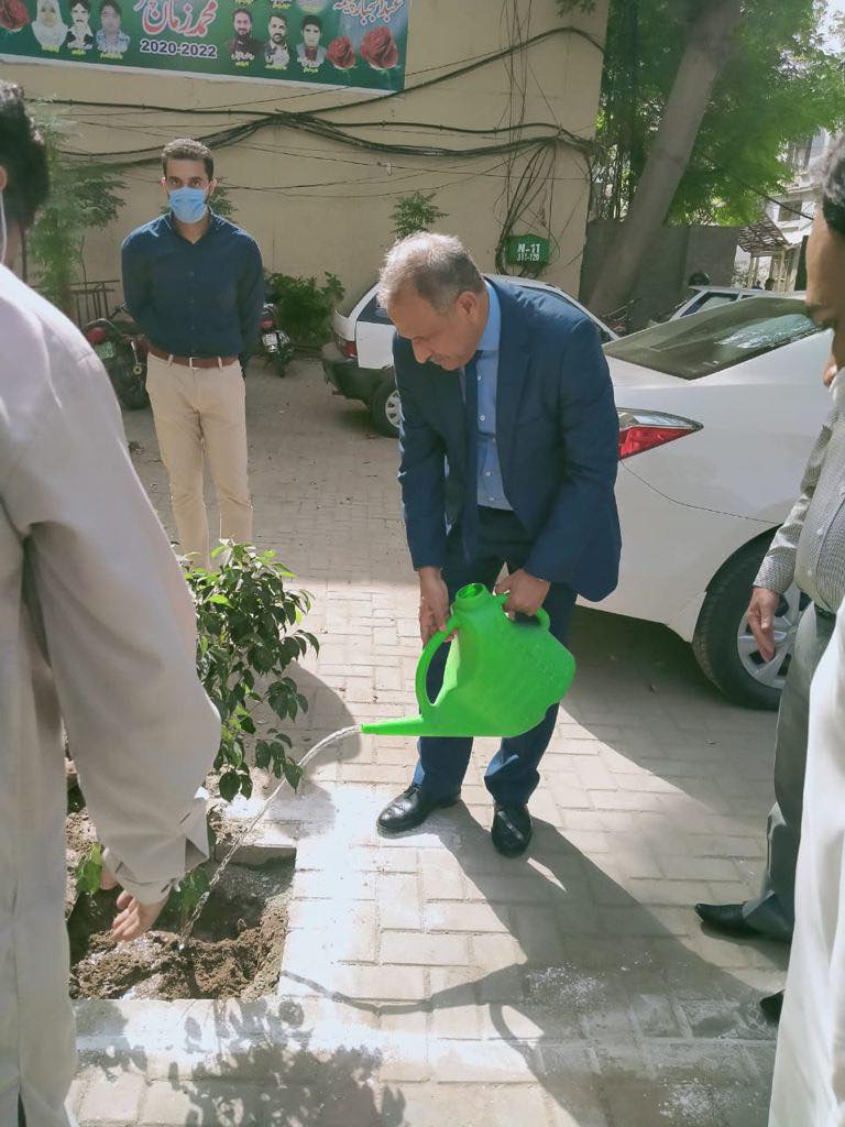 plantation