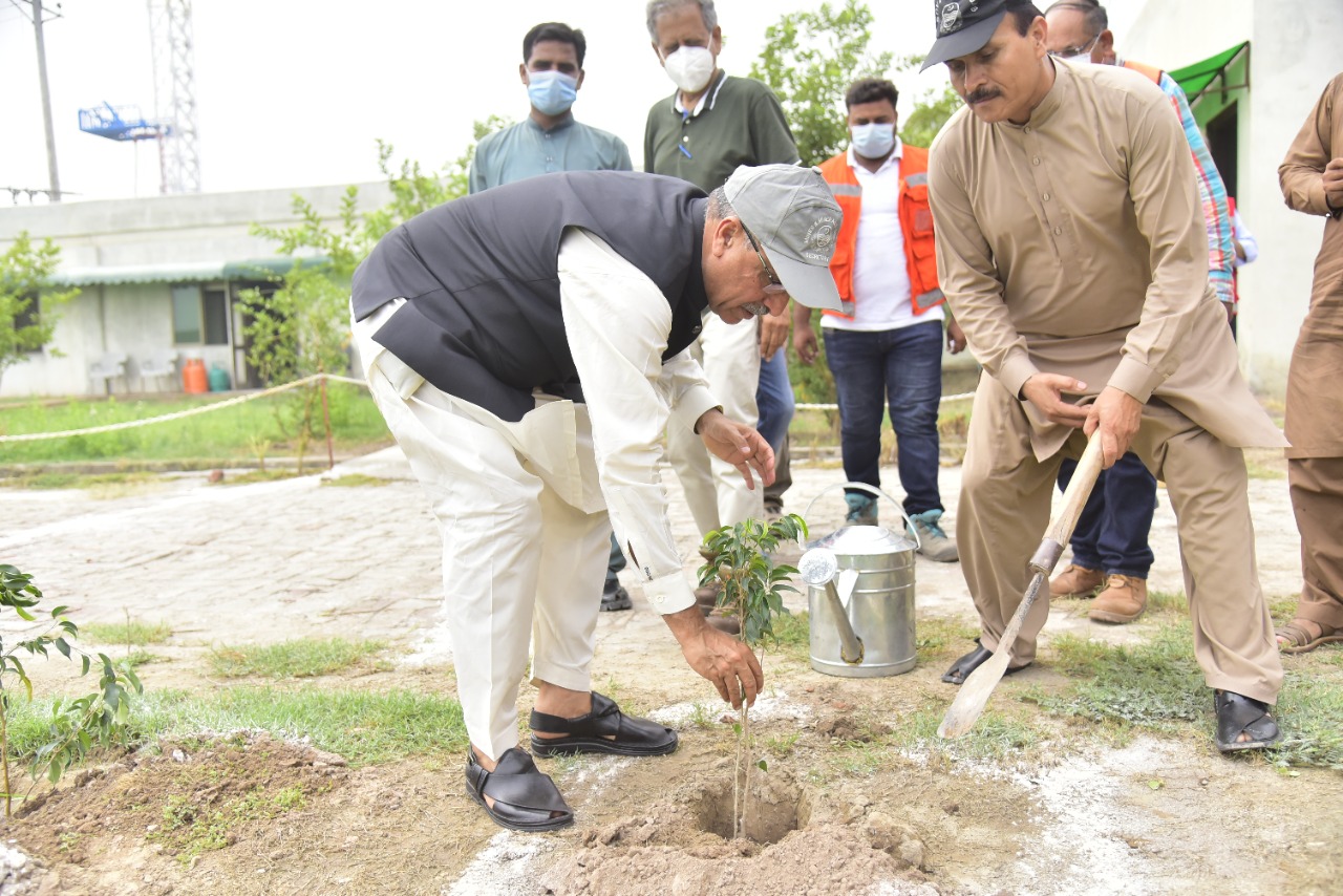 Plantation Drive